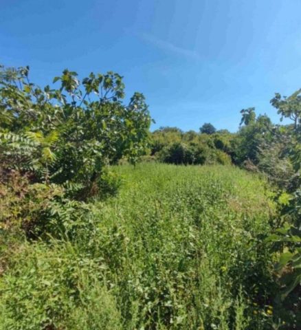 Działka na sprzedaż 700 m² – Kras