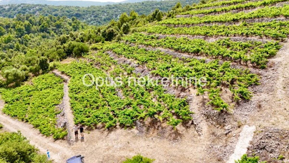 Dom Na sprzedaż - DUBROVAČKO-NERETVANSKA JANJINA