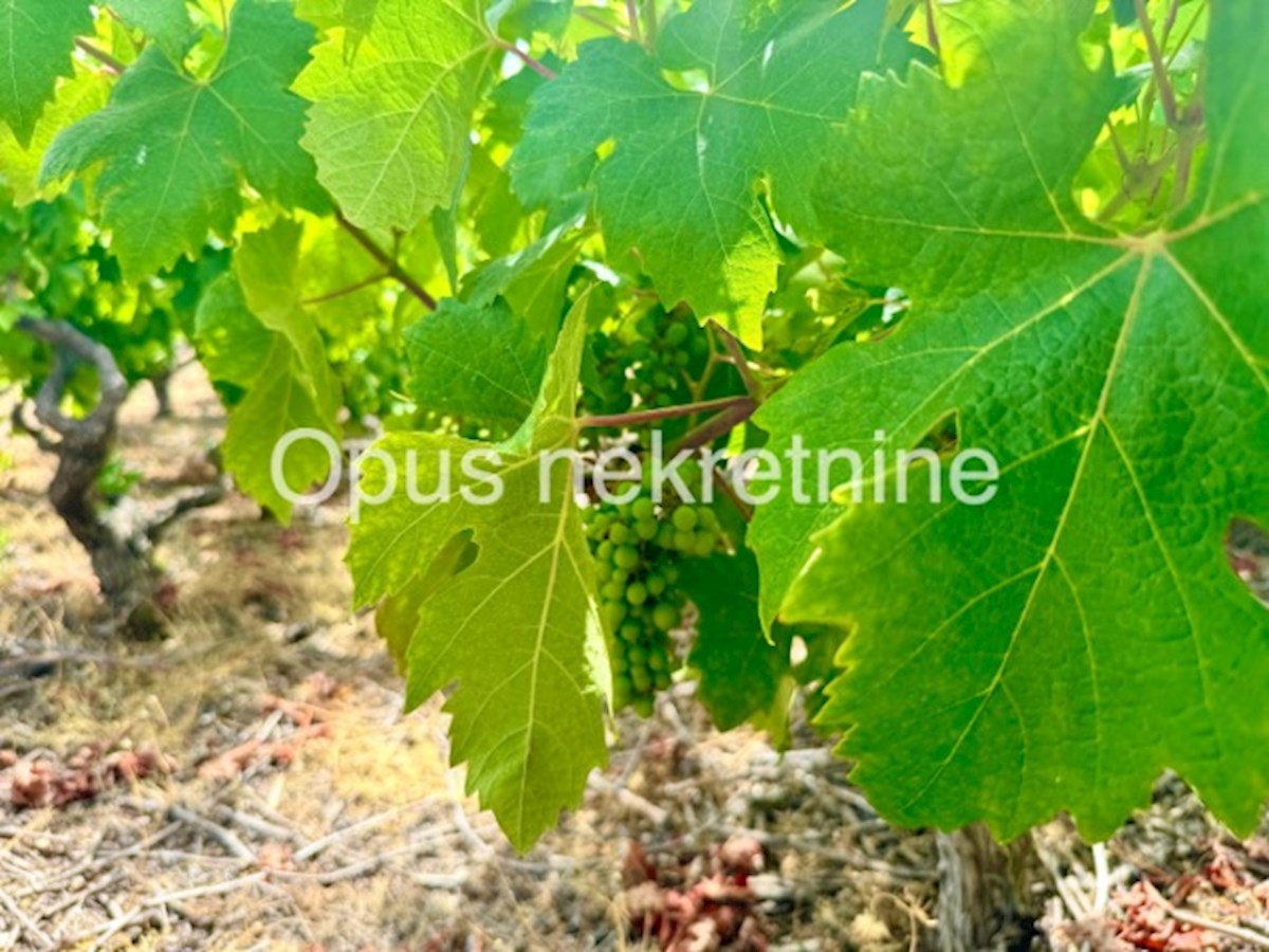 Dom Na sprzedaż - DUBROVAČKO-NERETVANSKA JANJINA