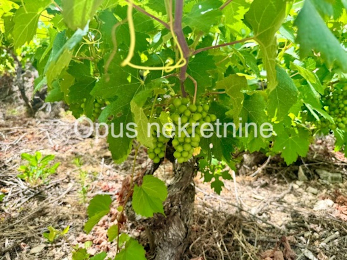 Dom Na sprzedaż - DUBROVAČKO-NERETVANSKA JANJINA