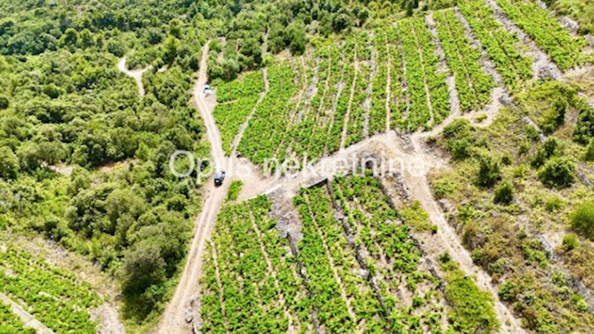 Dom Na sprzedaż - DUBROVAČKO-NERETVANSKA JANJINA