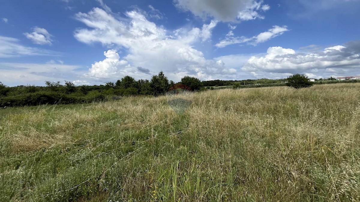 Land For sale - ISTARSKA VIŠNJAN