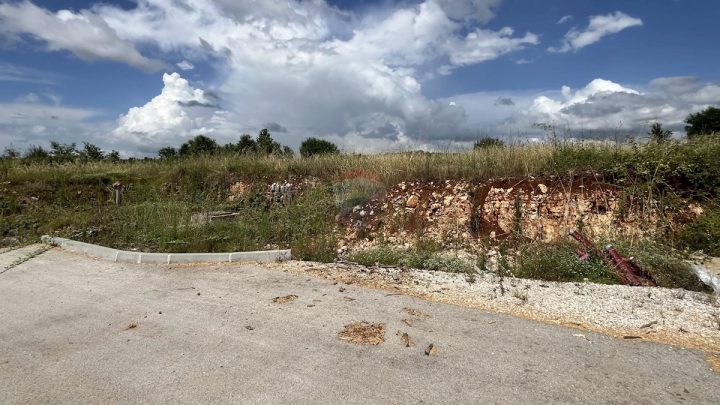 Land for sale 5004 m² – Višnjan