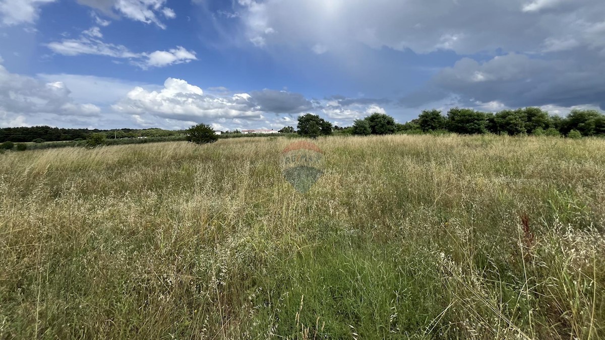 Land For sale - ISTARSKA VIŠNJAN