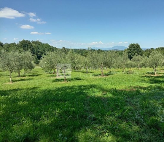 Parcela na predaj 9200 m² – Barban