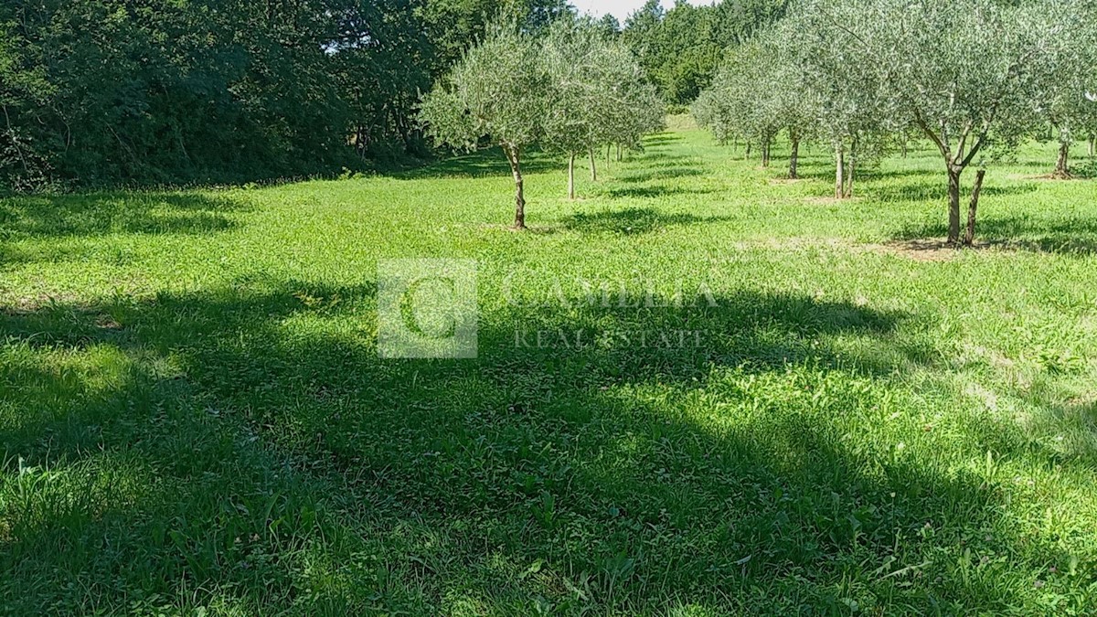 Grundstück Zu verkaufen - ISTARSKA BARBAN