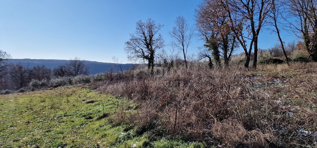 Terrain À vendre - ISTARSKA LABIN