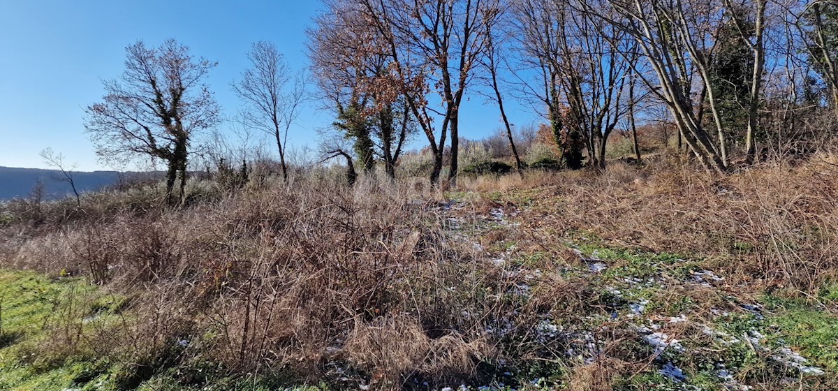 Terrain À vendre - ISTARSKA LABIN