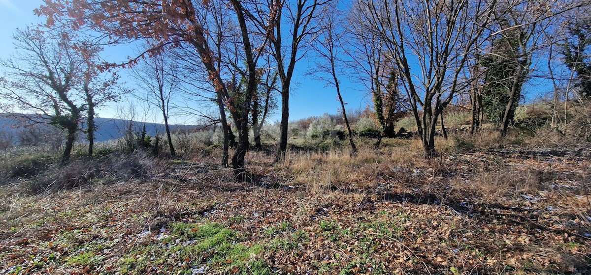 Terrain À vendre - ISTARSKA LABIN