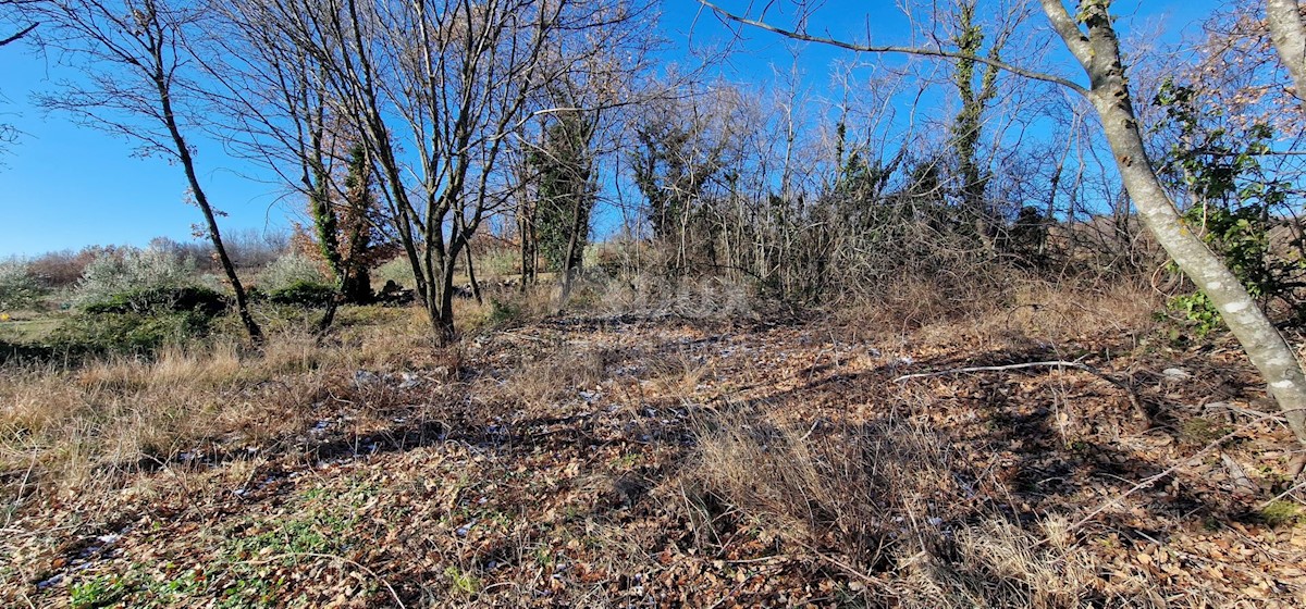 Terrain À vendre - ISTARSKA LABIN