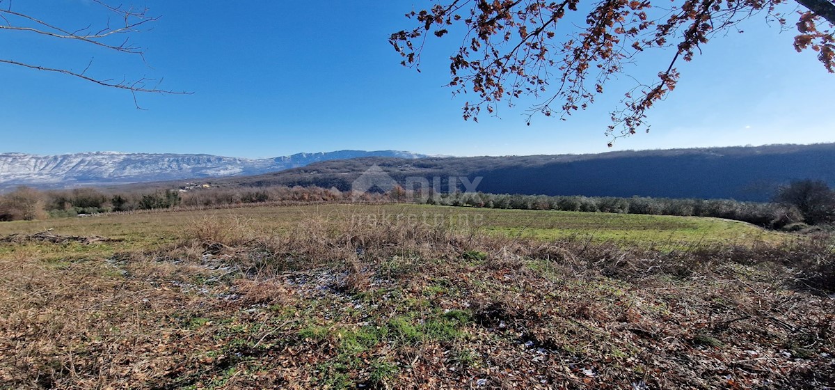 Terrain À vendre - ISTARSKA LABIN