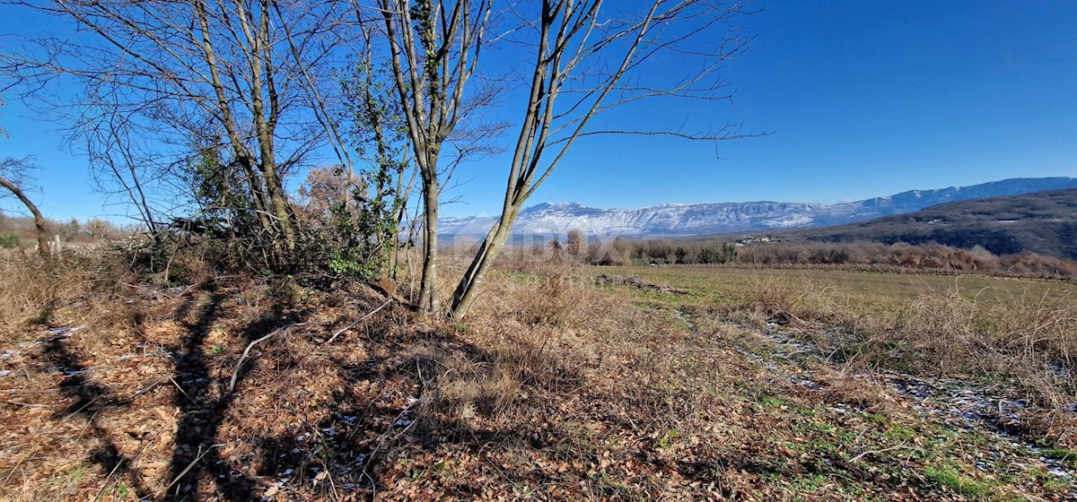 Terrain À vendre - ISTARSKA LABIN
