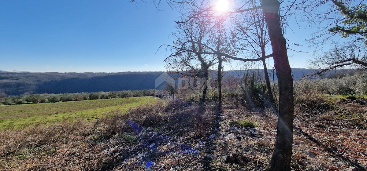 Terrain À vendre - ISTARSKA LABIN