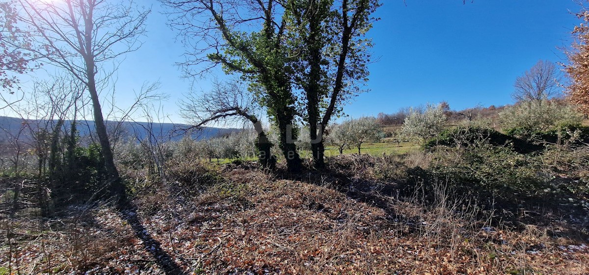 Terrain À vendre - ISTARSKA LABIN