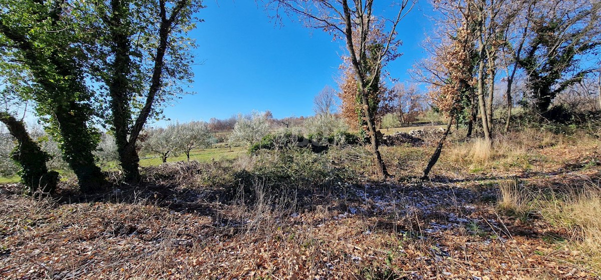 Terrain À vendre - ISTARSKA LABIN
