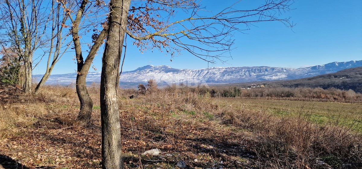 Terrain À vendre - ISTARSKA LABIN