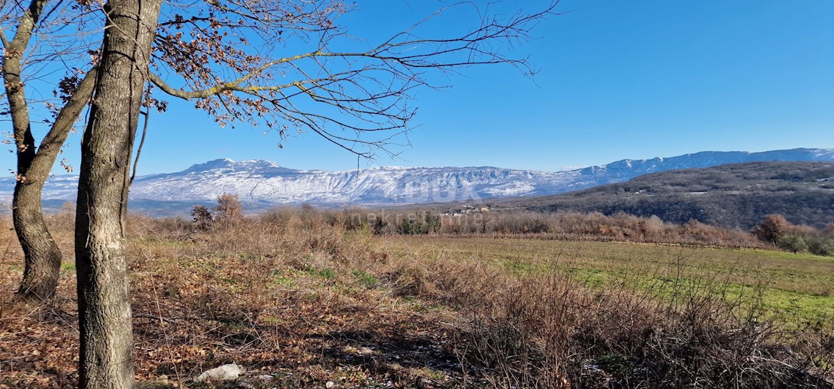Terrain À vendre - ISTARSKA LABIN