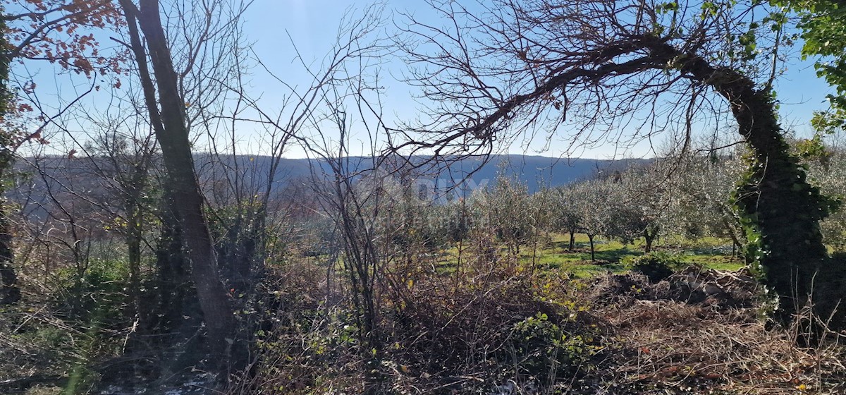Terrain À vendre - ISTARSKA LABIN