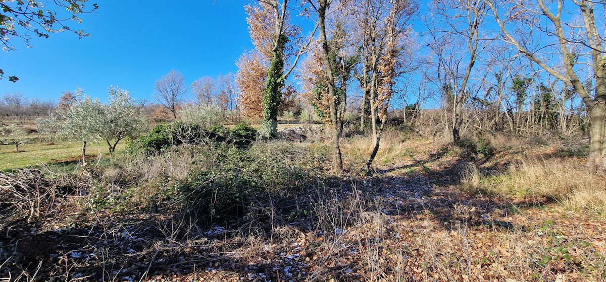 Terrain À vendre - ISTARSKA LABIN