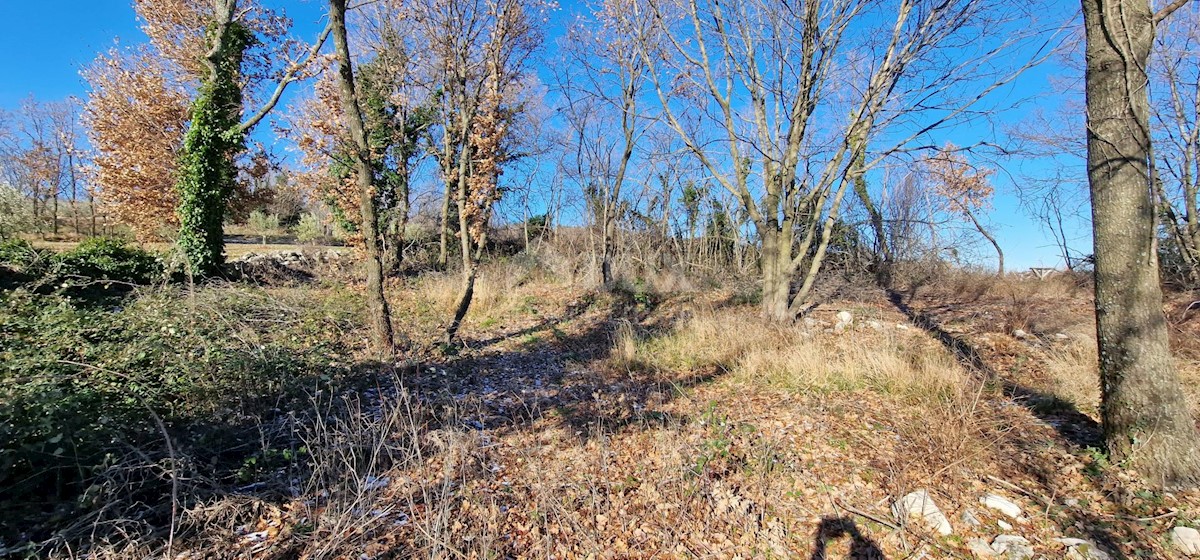 Terrain À vendre - ISTARSKA LABIN