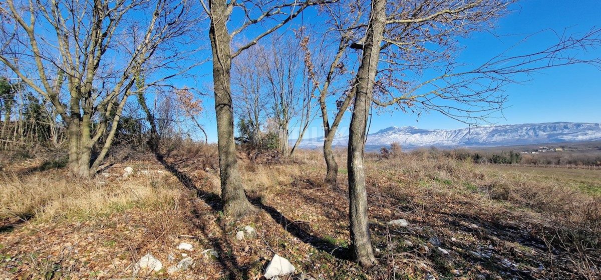 Terrain À vendre - ISTARSKA LABIN