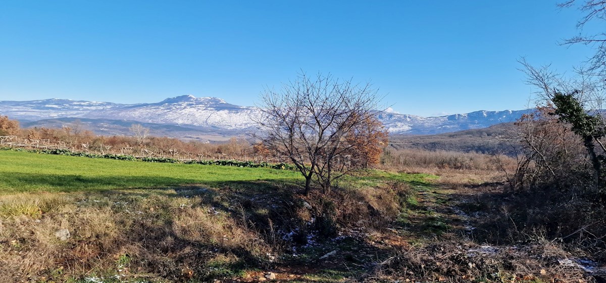 Terrain À vendre - ISTARSKA LABIN