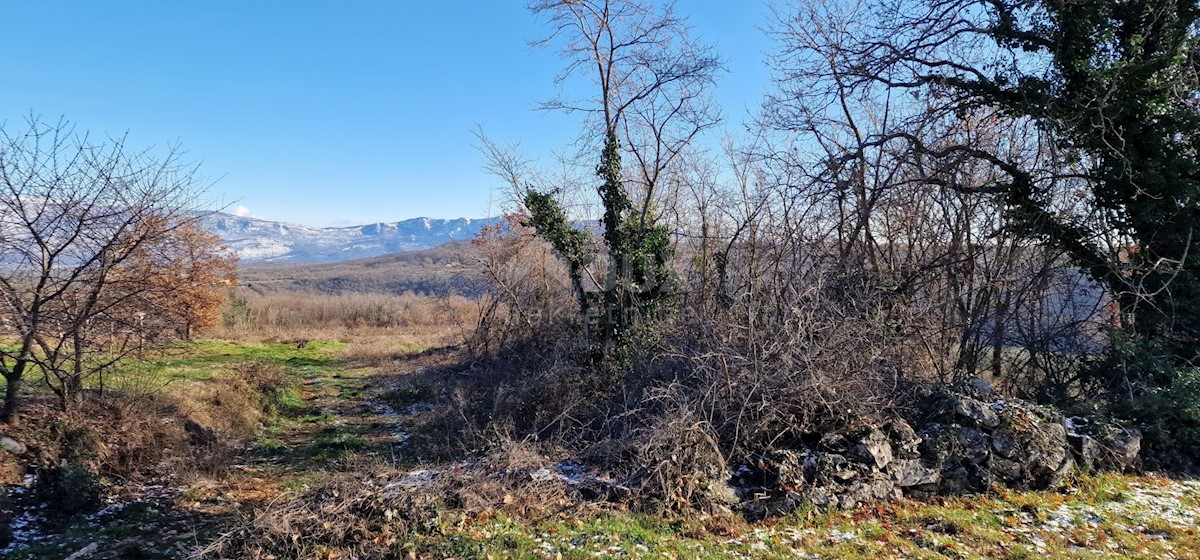 Terrain À vendre - ISTARSKA LABIN