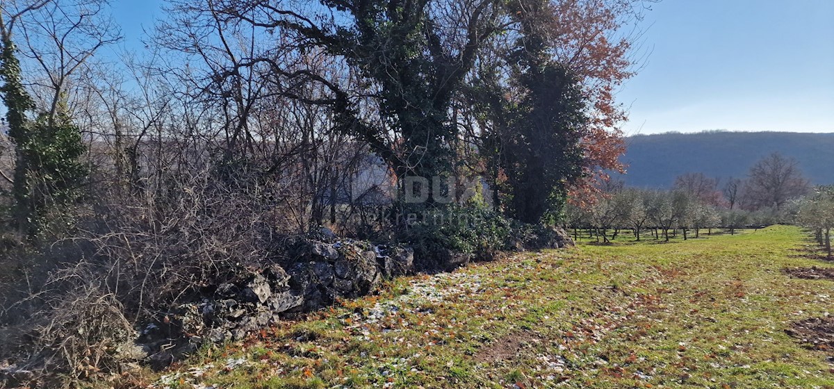 Terrain À vendre - ISTARSKA LABIN