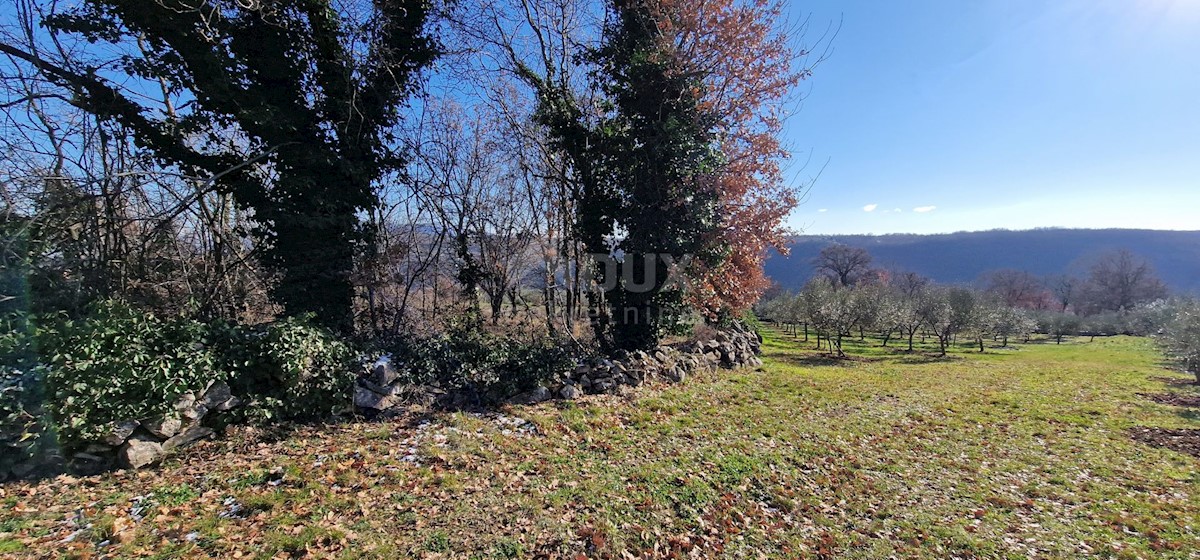 Terrain À vendre - ISTARSKA LABIN