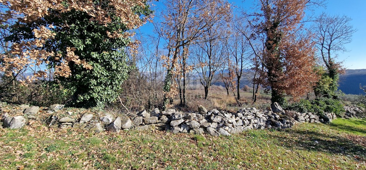 Terrain À vendre - ISTARSKA LABIN