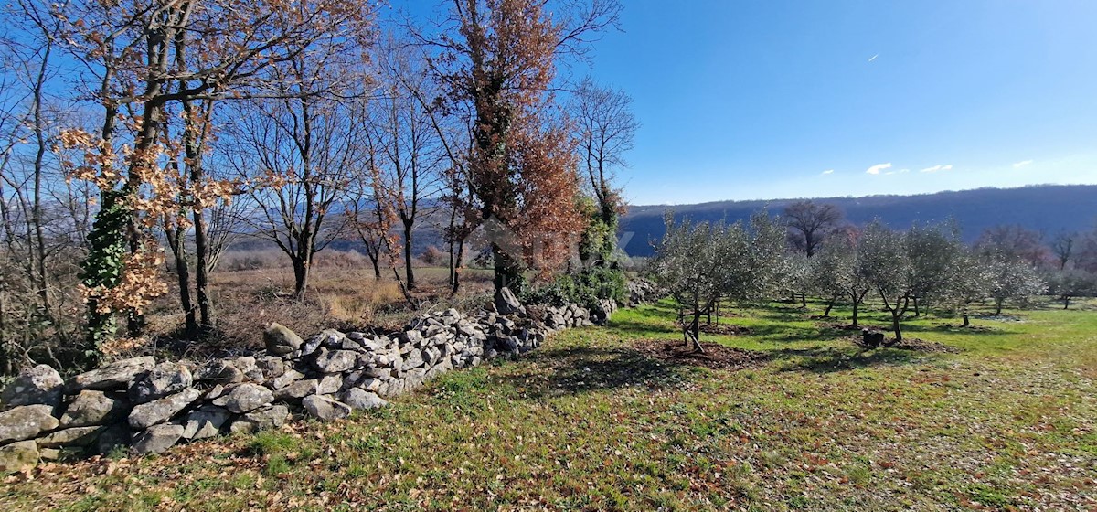 Terrain À vendre - ISTARSKA LABIN