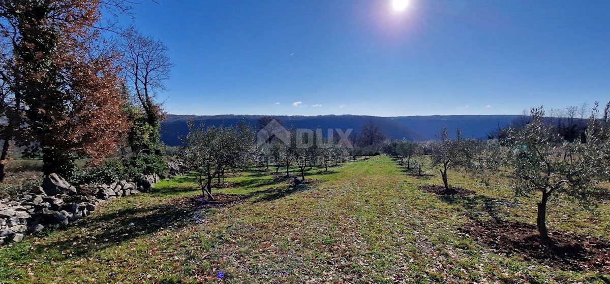 Terrain À vendre - ISTARSKA LABIN