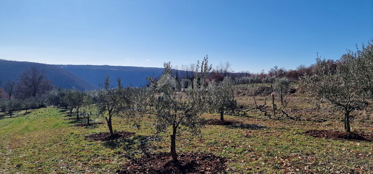 Parcela Naprodaj - ISTARSKA Labin