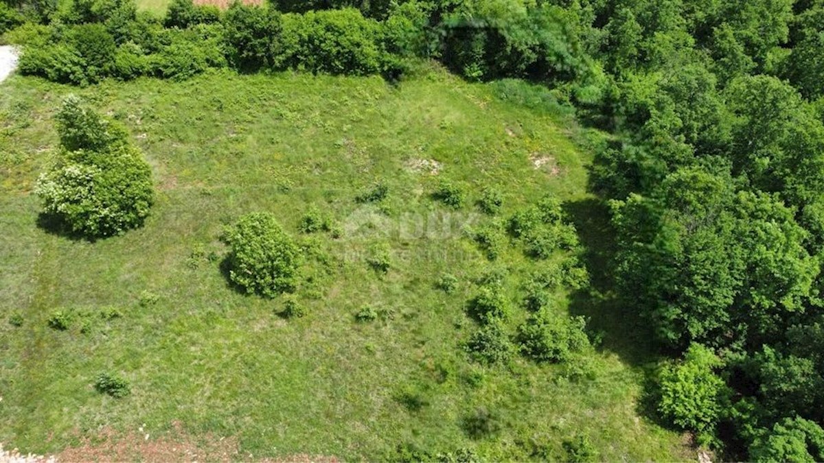 Zemljište Na prodaju - ISTARSKA TINJAN