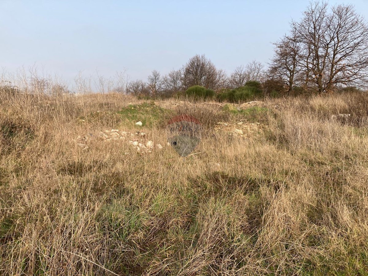 Terreno In vendita - ISTARSKA POREČ