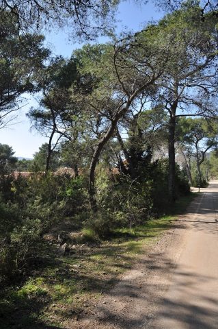 Grundstück zu verkaufen 2436 m² – Vrboska