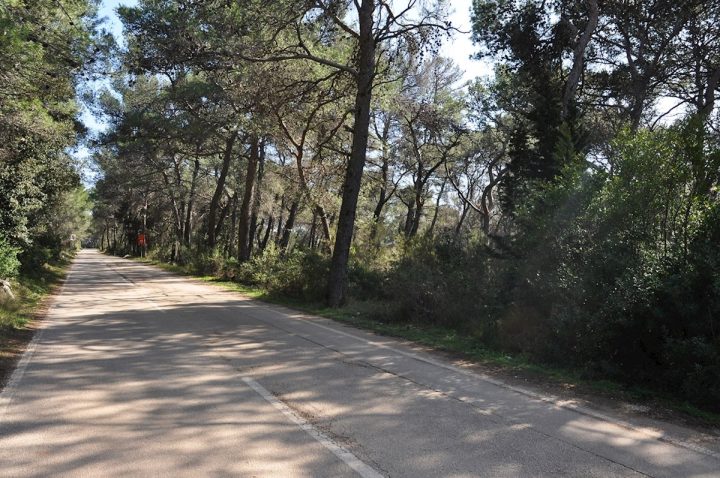 Land For sale - Splitsko-dalmatinska Hvar - foto 3/4