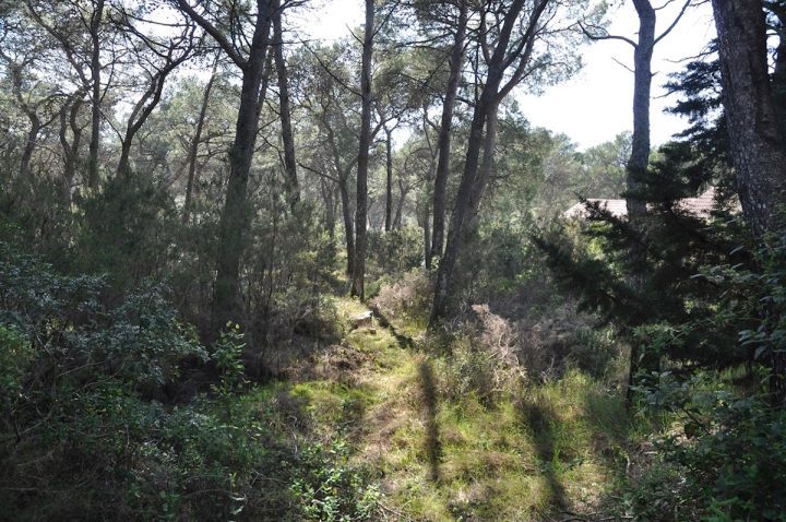 Land For sale - Splitsko-dalmatinska Hvar - foto 4/4