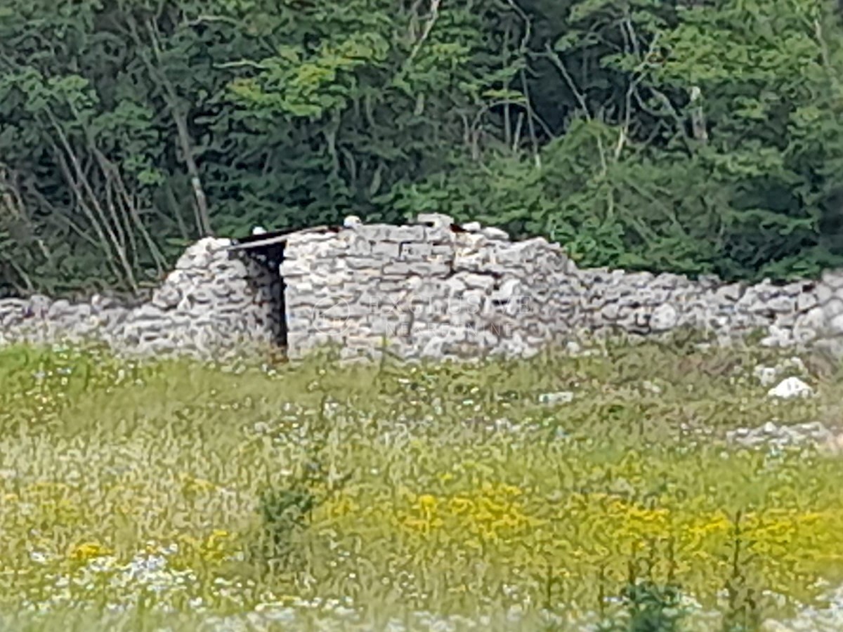 Terrain À vendre - Istarska Rovinj - foto 4/10