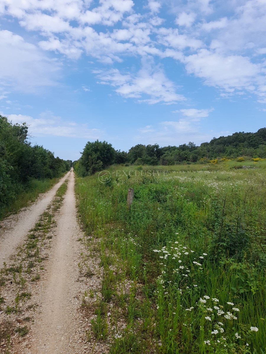 Terrain À vendre - Istarska Rovinj - foto 5/10