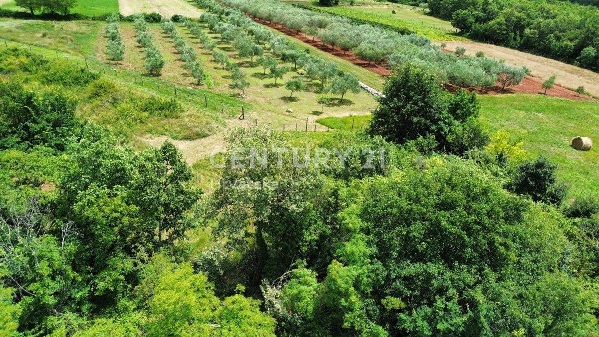 Kuća Na prodaju - ISTARSKA BUJE