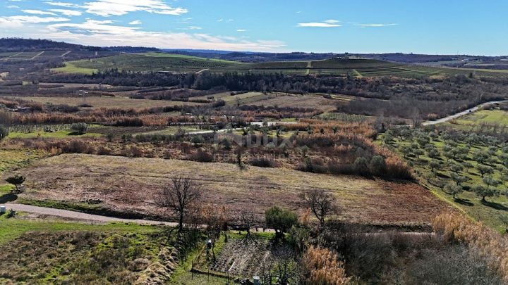 Land For sale - Istarska Buje - foto 4/8