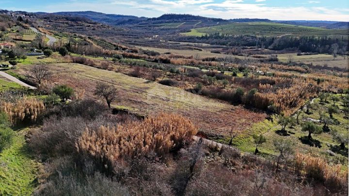 Land For sale - Istarska Buje - foto 5/8