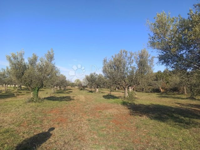 Terrain à vendre 956 m² – Fažana