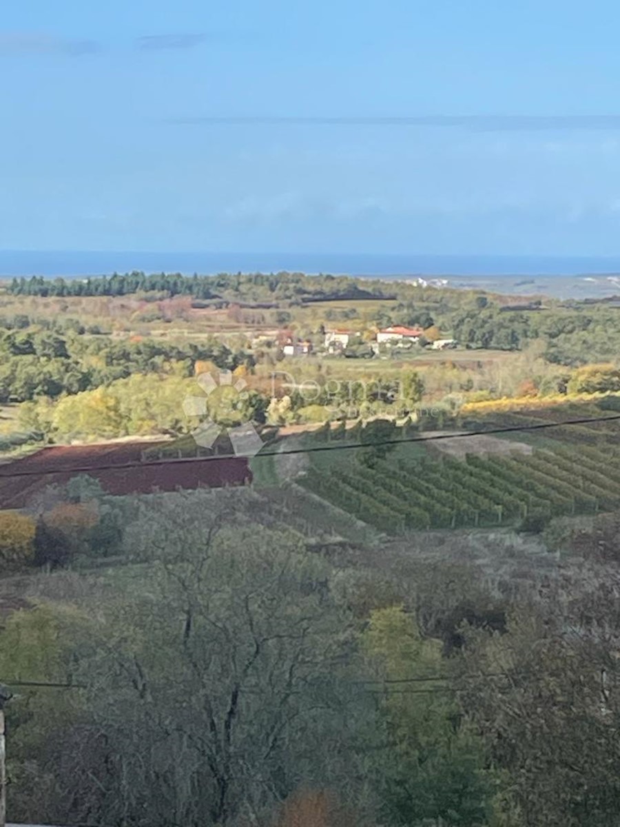 Dom Na predaj - ISTARSKA VIŽINADA