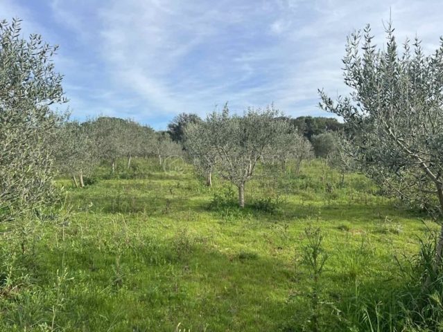 Parcela Na predaj - Primorsko-goranska Mali Lošinj - foto 3/14