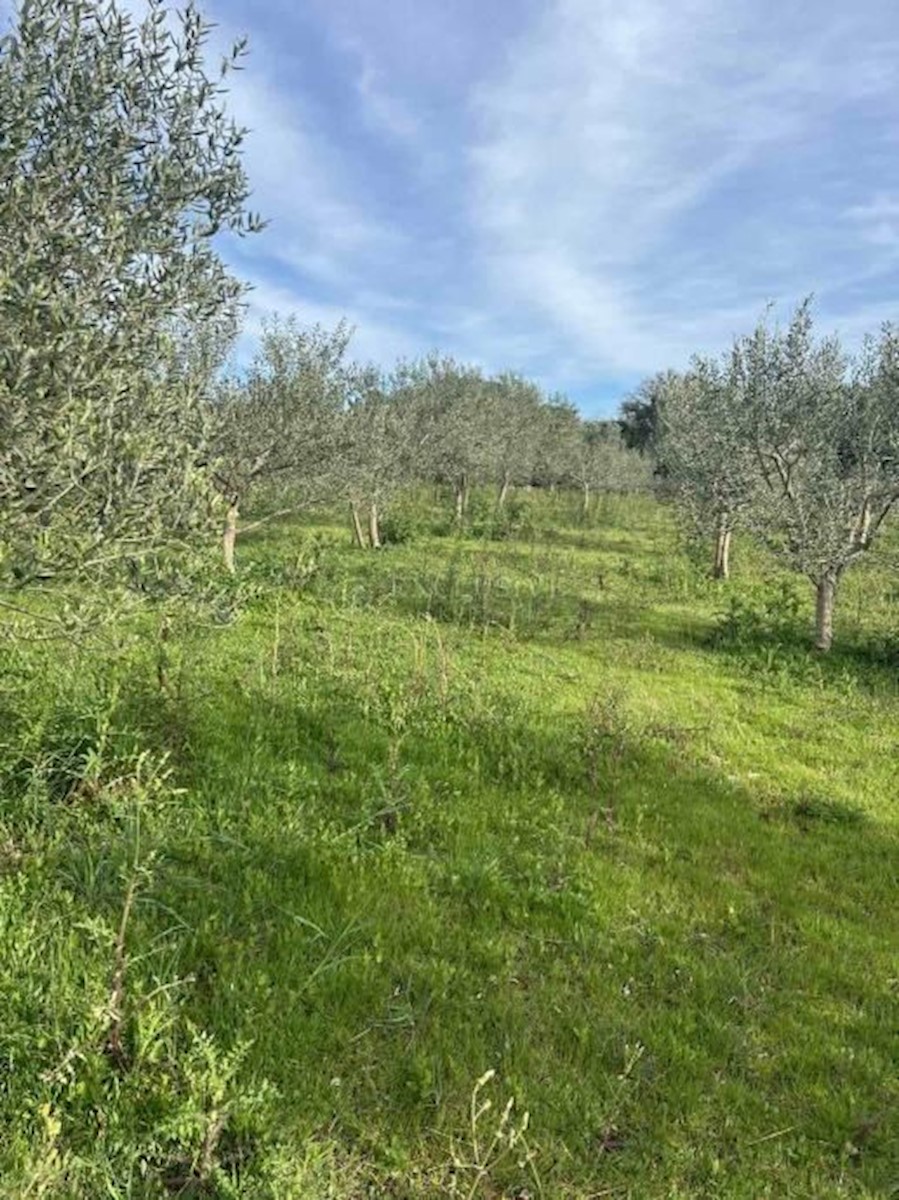 Terreno In vendita PUNTA KRIŽA