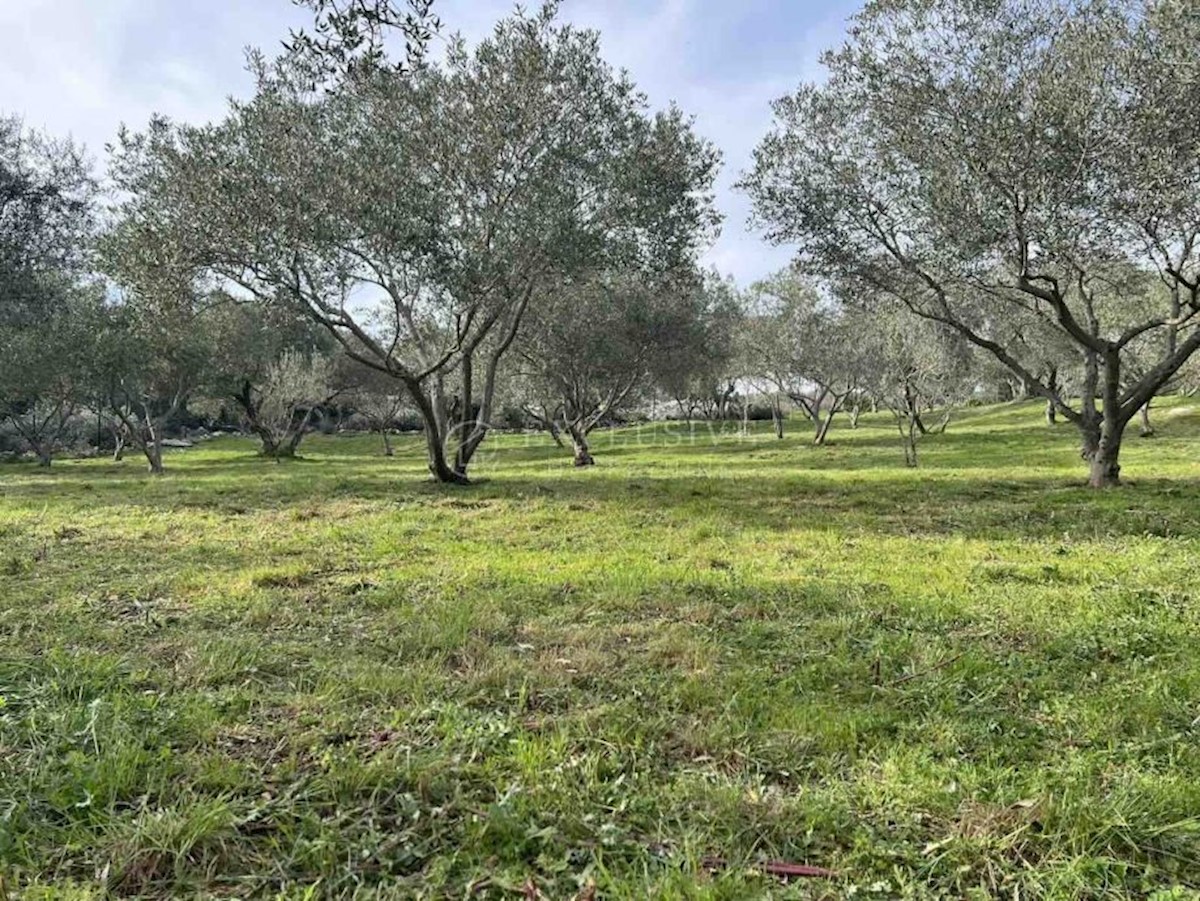 Terreno In vendita - PRIMORSKO-GORANSKA MALI LOŠINJ