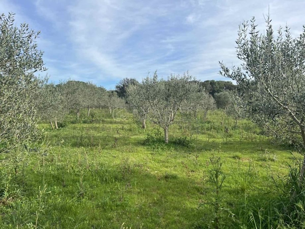 Terreno In vendita - PRIMORSKO-GORANSKA MALI LOŠINJ