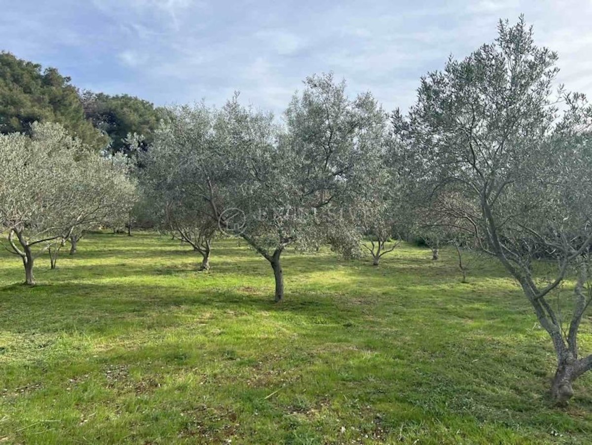 Terreno In vendita - PRIMORSKO-GORANSKA MALI LOŠINJ